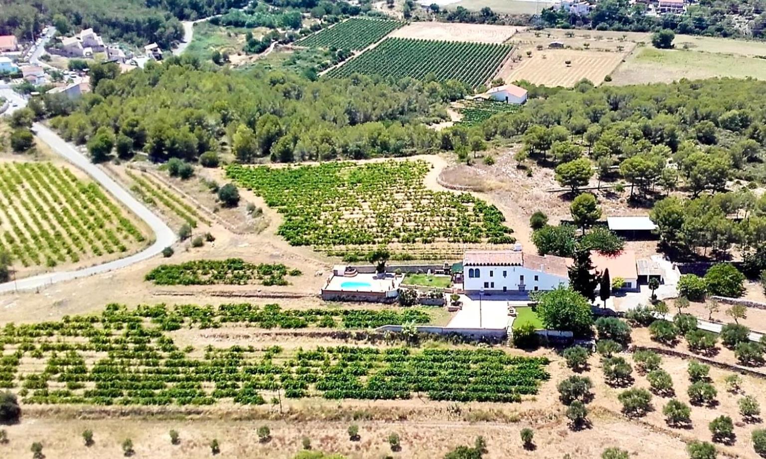 Masia St Salvador 1582 Cubelles Kültér fotó